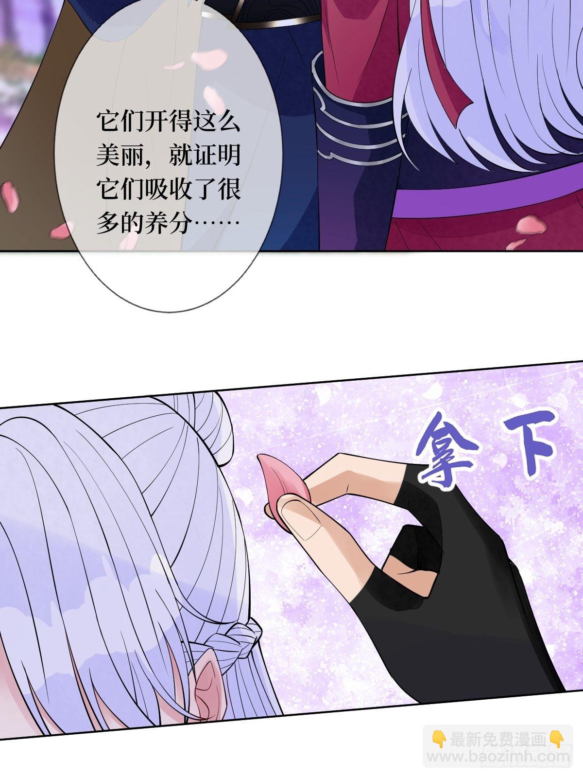 第六十三话 越美丽越危险(1/2)-第63话