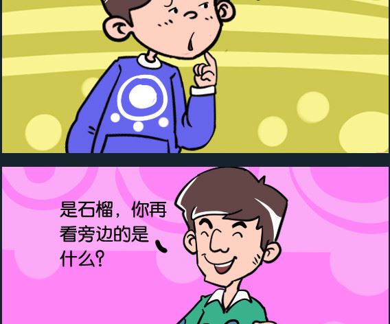 第015话 石榴-第15话