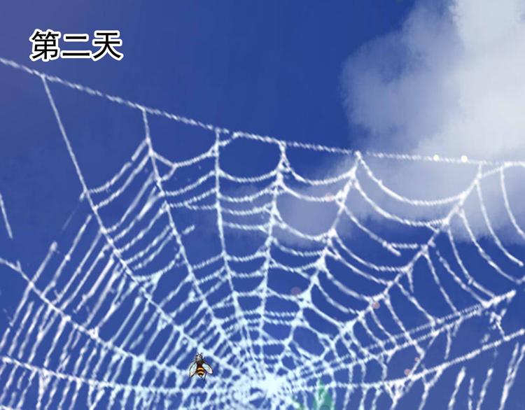 第17话 天道好轮回(1/3)-第17话