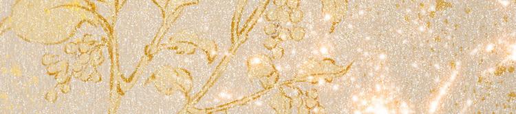 第31话 猫奴(1/2)-第31话