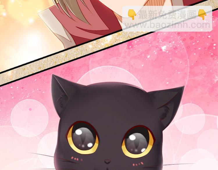 第31话 猫奴(1/2)-第31话