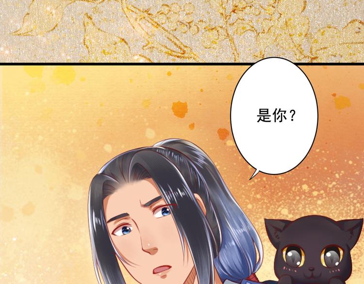 第31话 猫奴(1/2)-第31话