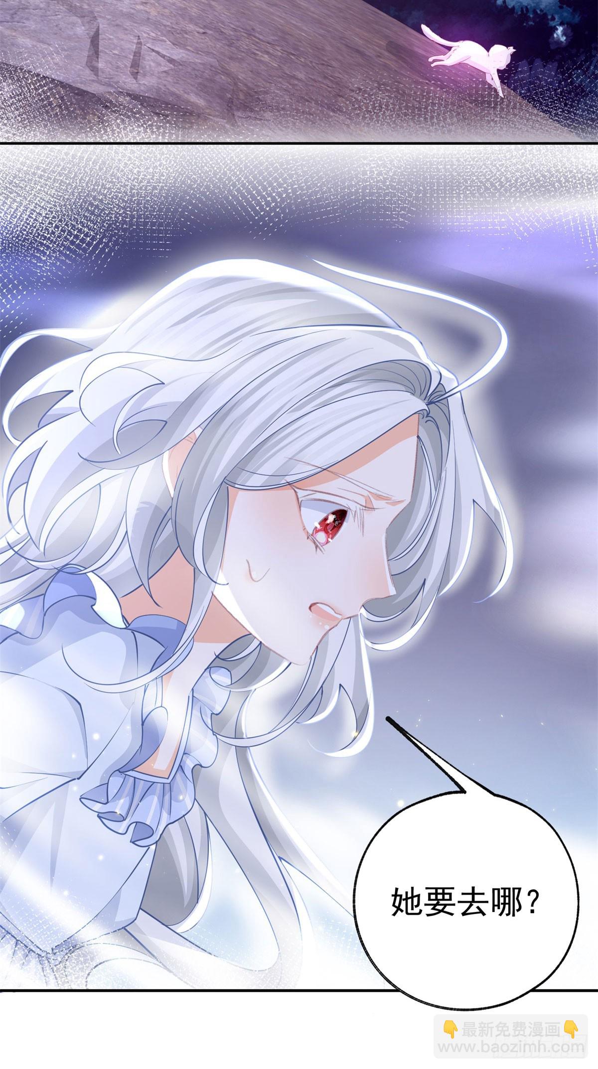 某天成爲祭品公主 - 第262話 白貓的初登場 - 1