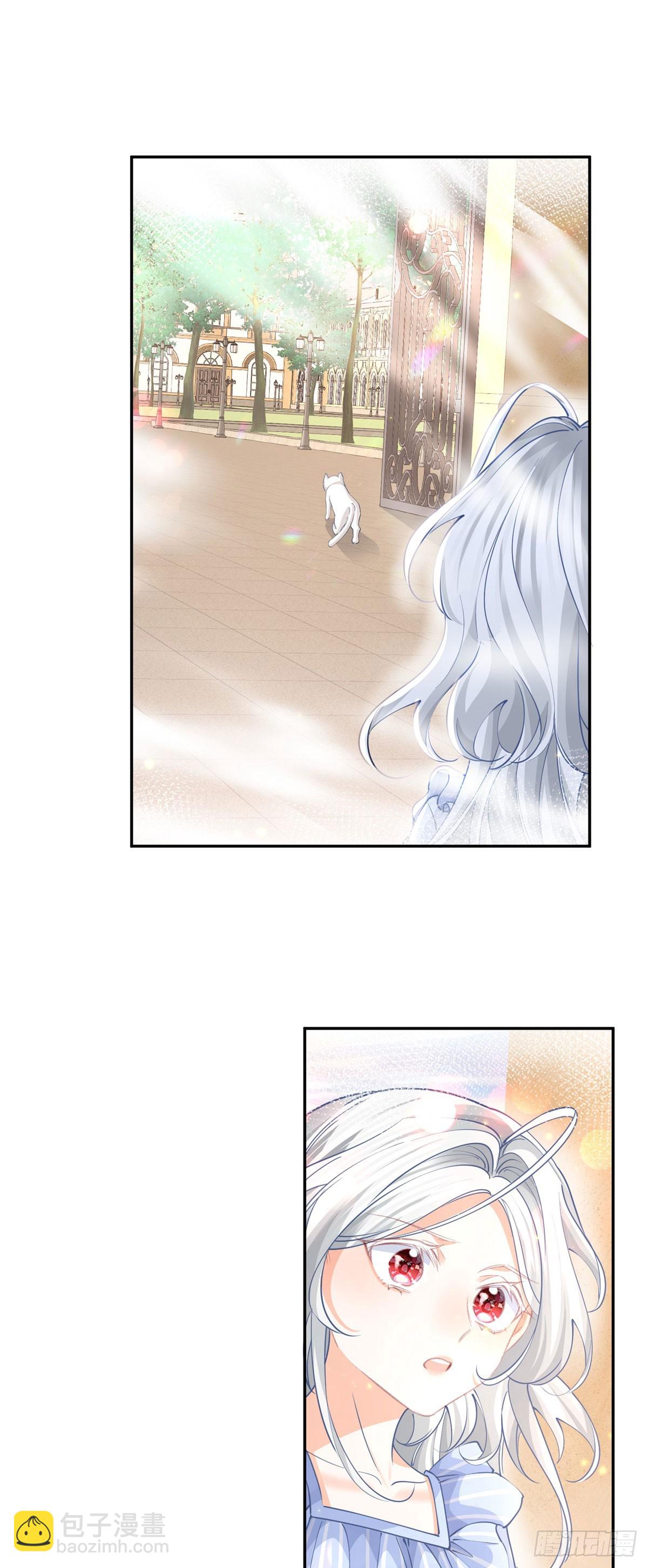 某天成爲祭品公主 - 第262話 白貓的初登場 - 2
