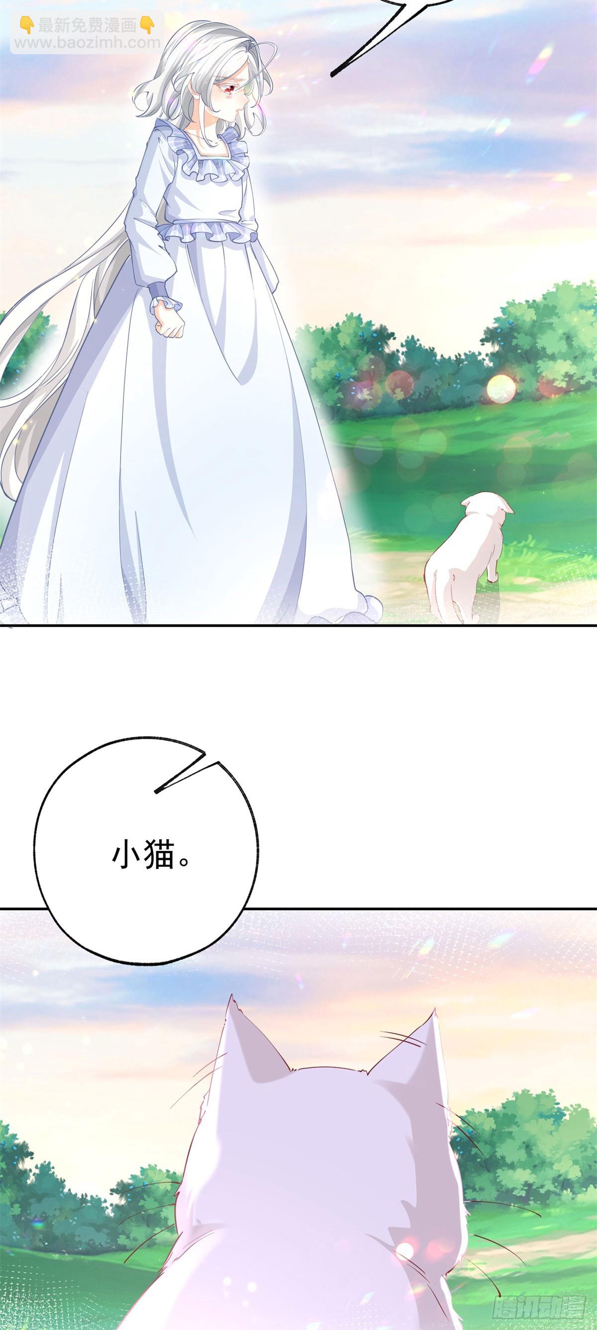 某天成爲祭品公主 - 第262話 白貓的初登場 - 2