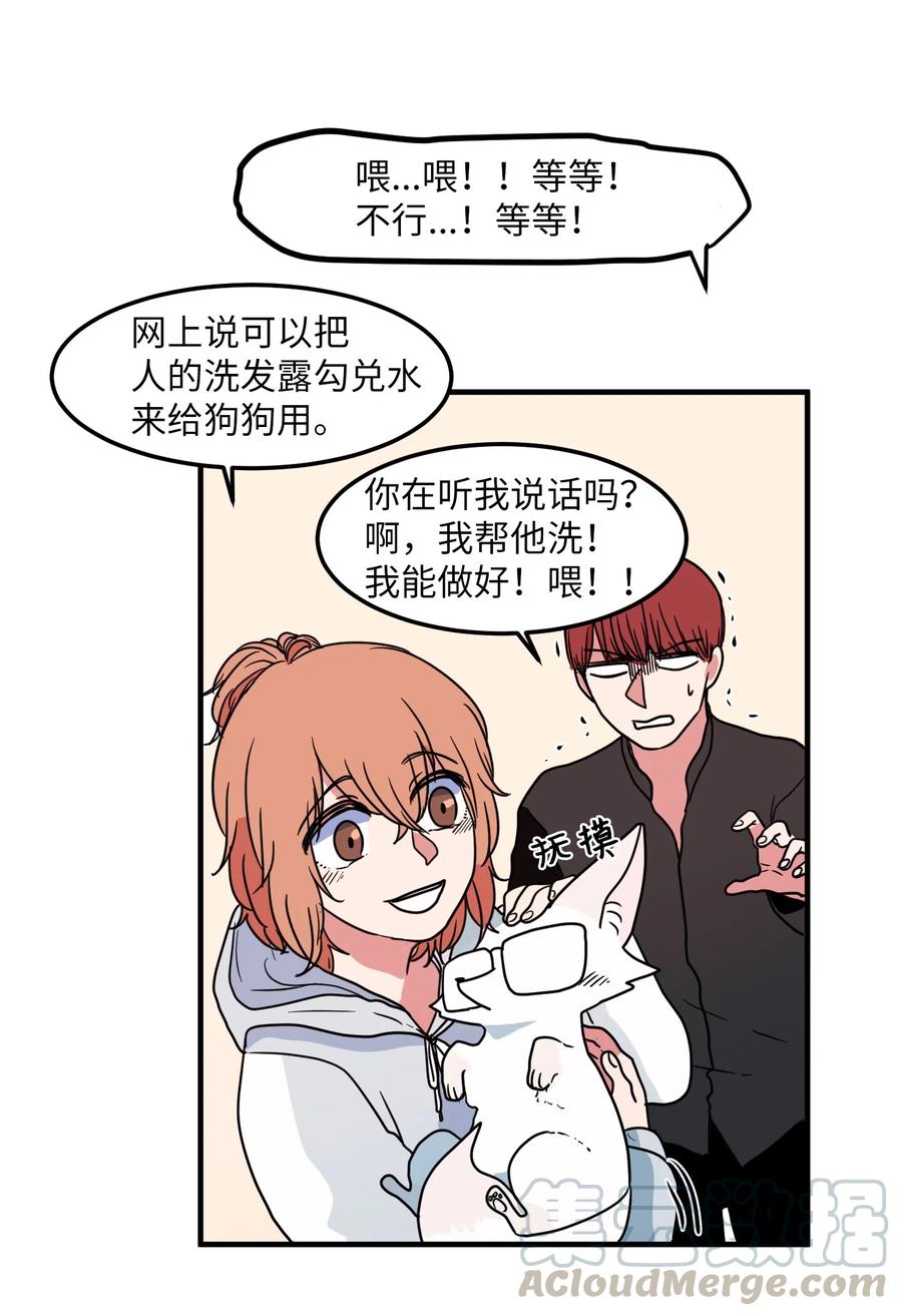 027 与狗狗洗澡-第27话