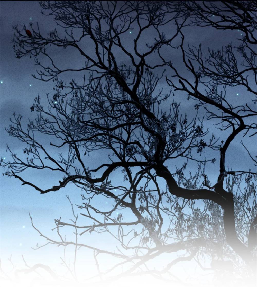 第187话 维诺斯的父亲-第65话