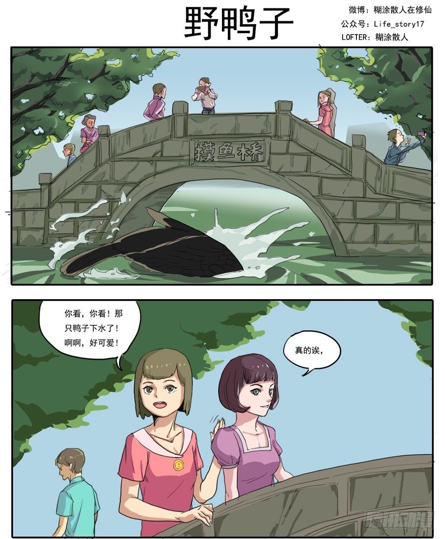 001野鸭子-第1话