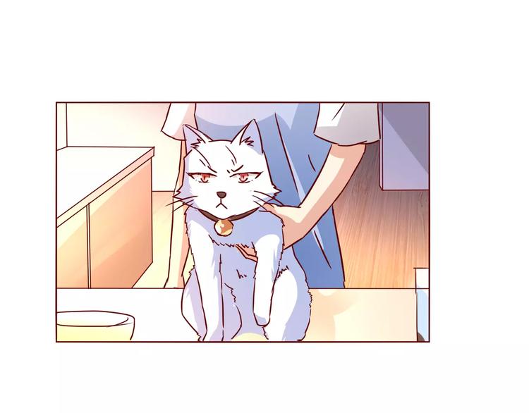 第12话 蛋糕风波(1/2)-第13话