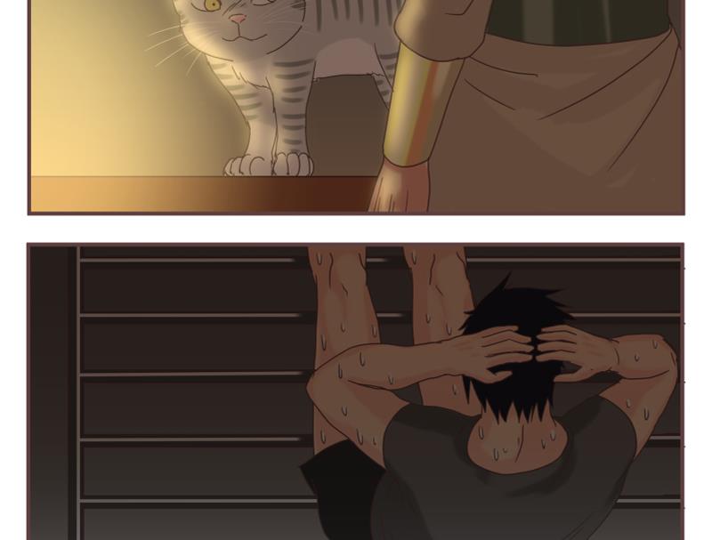 第49话 同伴-第49话