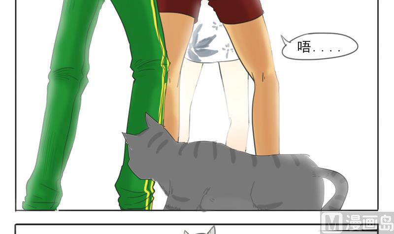 第07话 喵喵喵喵喵喵喵-第7话
