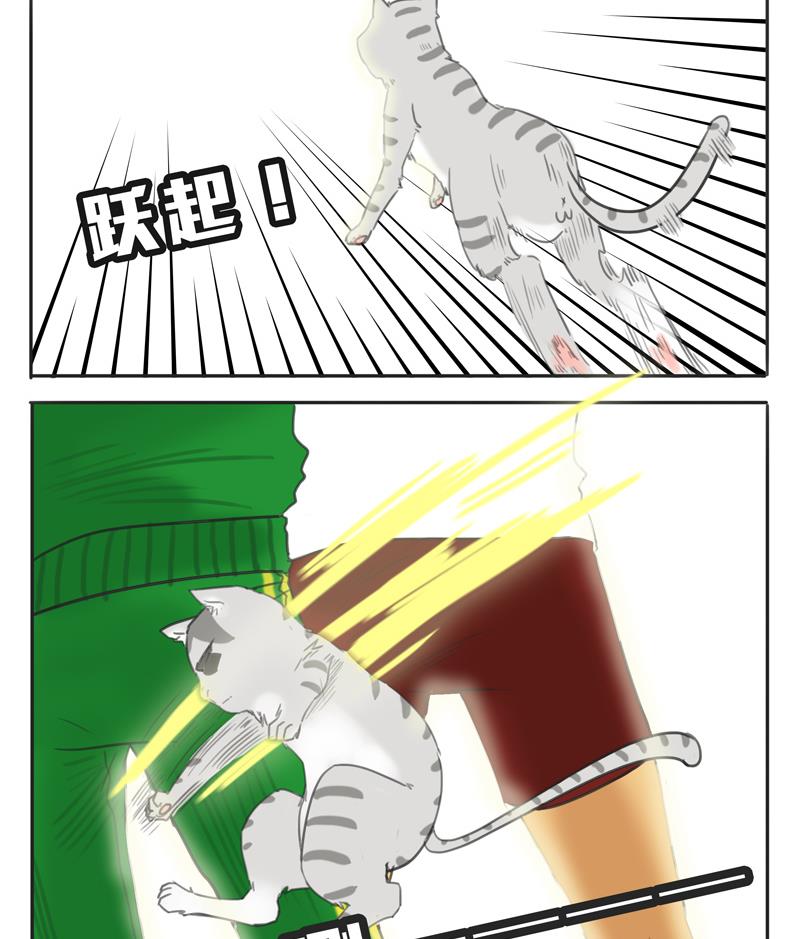 第07话 喵喵喵喵喵喵喵-第7话