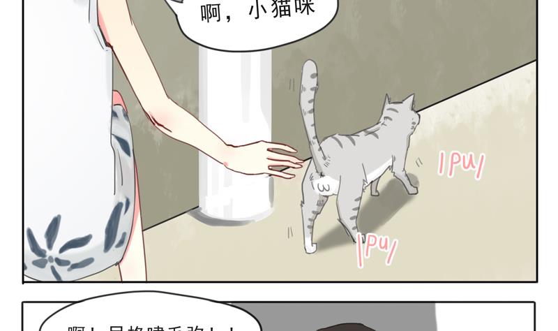 第07话 喵喵喵喵喵喵喵-第7话