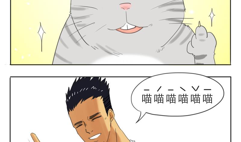 第07话 喵喵喵喵喵喵喵-第7话