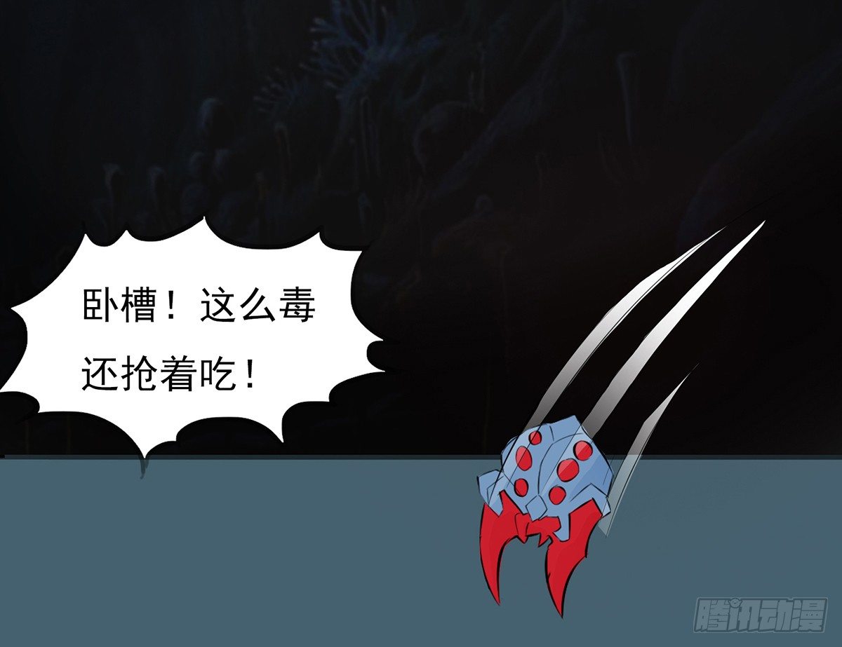 弱肉强食的世界(1/2)-第11话