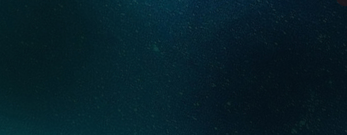 逃出八尾的手掌心(1/3)-第9话