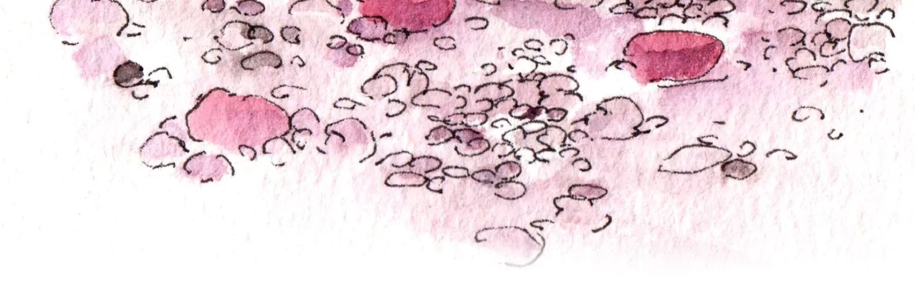 莫虛吟之蓬萊客 - 第20話  異象(1/3) - 3