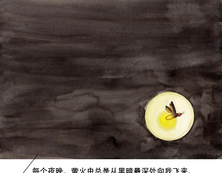 默魚繪本集 - 長篇－天台上的螢火蟲－精選2 - 2