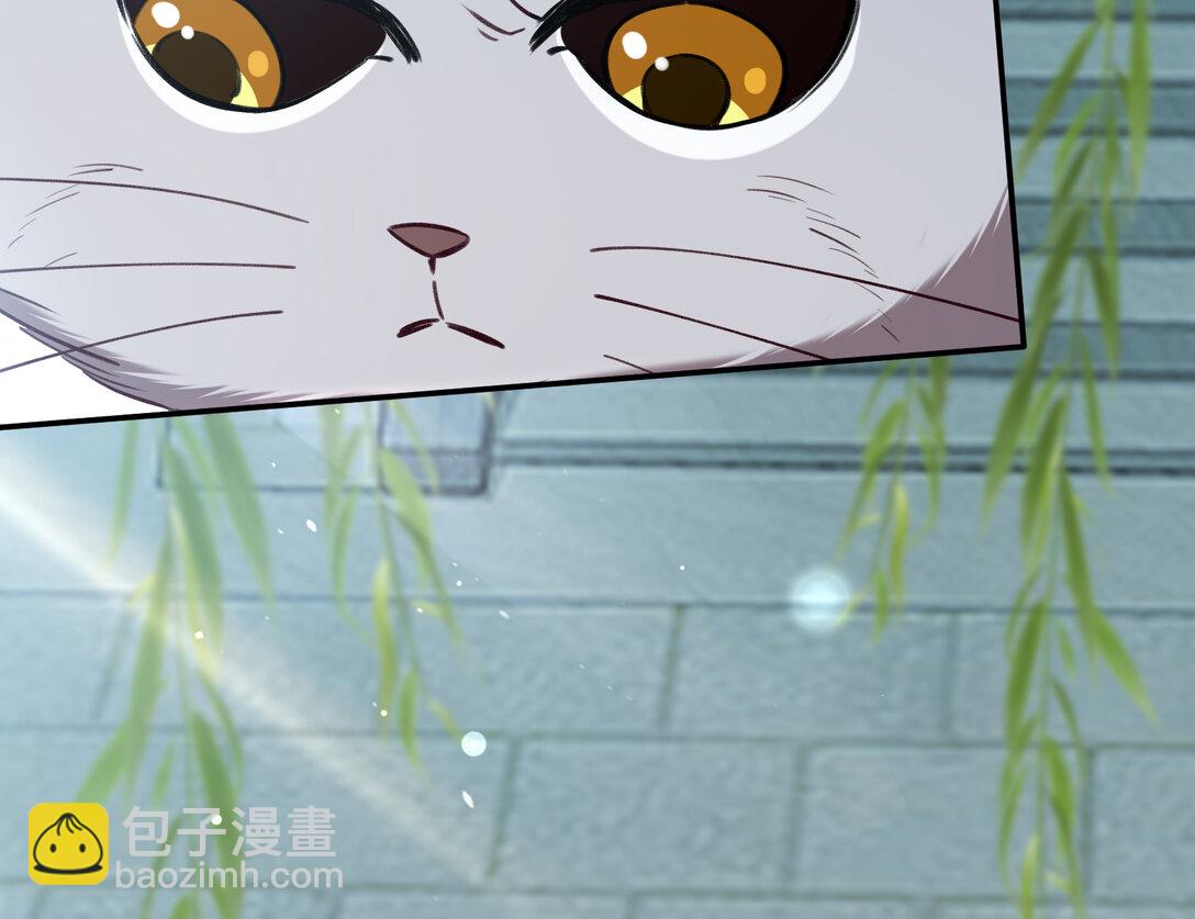 801 万渣第一季完结篇：找到苏绿夏(1/3)-第801话