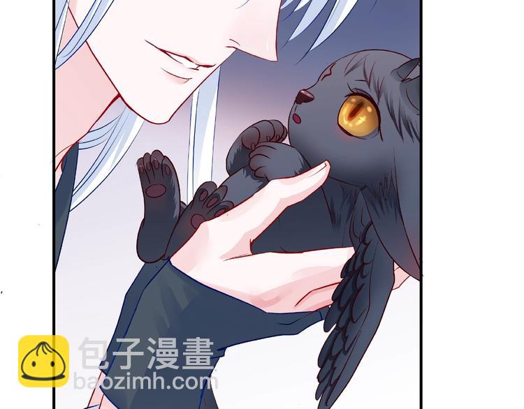 魔尊要抱抱 - 第19話 變成萌寵？(3/3) - 5