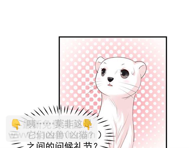 魔尊要抱抱 - 第40話 兩隻兇獸(2/4) - 4