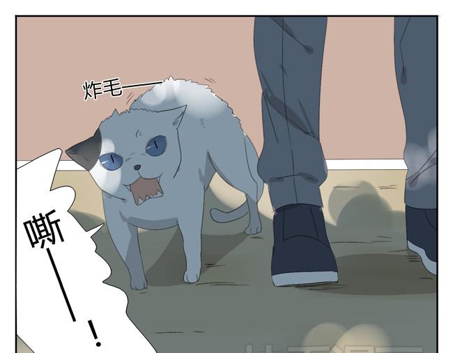 第5话 神也要顾忌一下自己的感受(1/2)-第5话