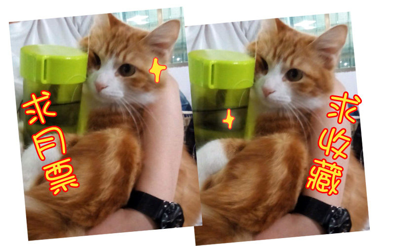 40木兰的新烦恼（上）-第41话