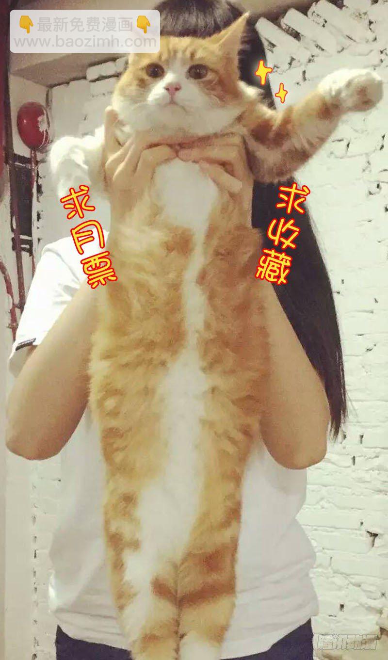 42木兰的新烦恼（下）-第43话