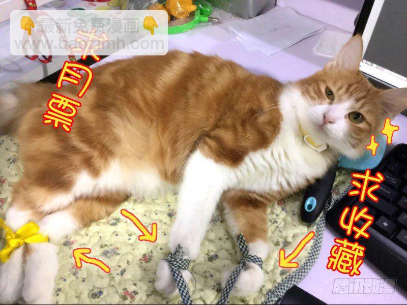 49我的保护神（上）-第51话