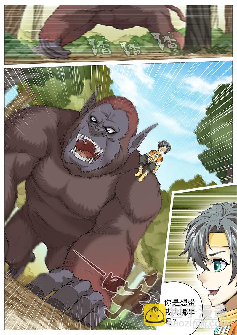 第二十五回：灵胎功法-第29话