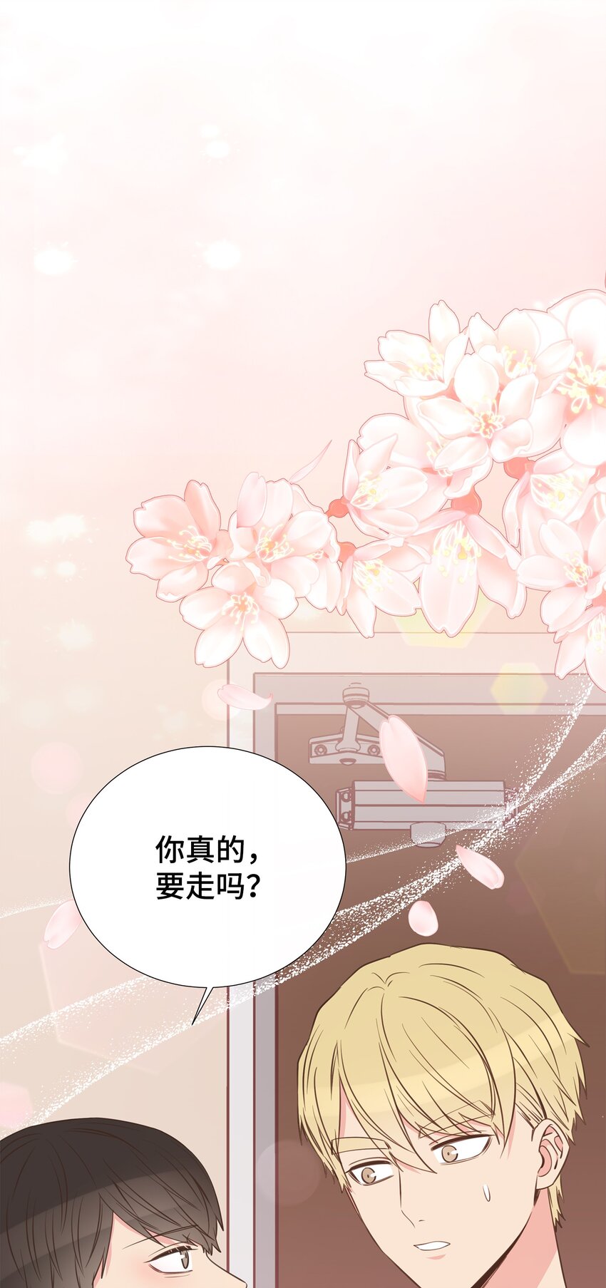 41 又来？！(1/2)-第41话