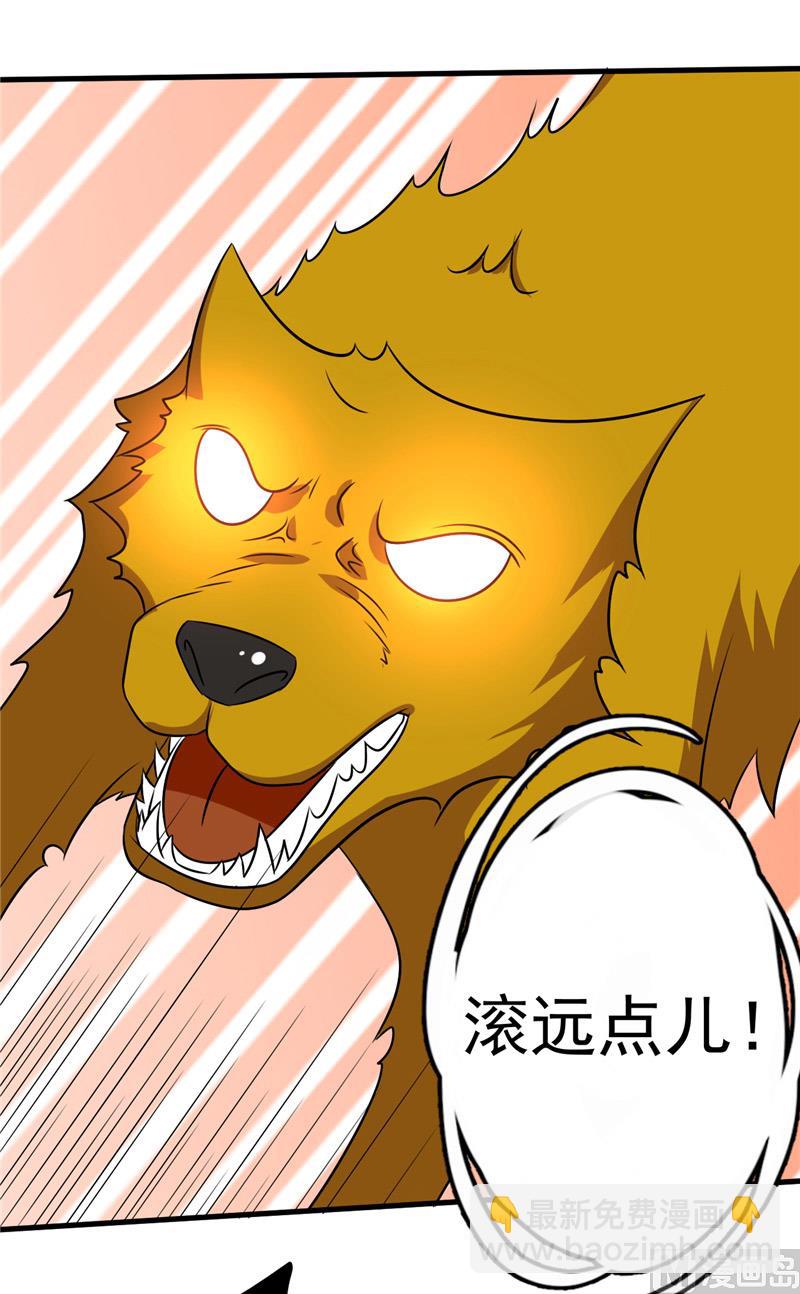 第40话 与狗交易-第41话