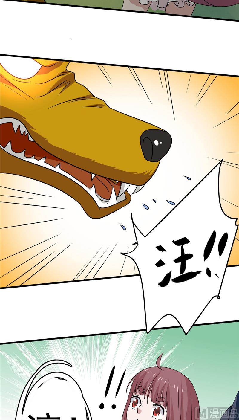 第40话 与狗交易-第41话