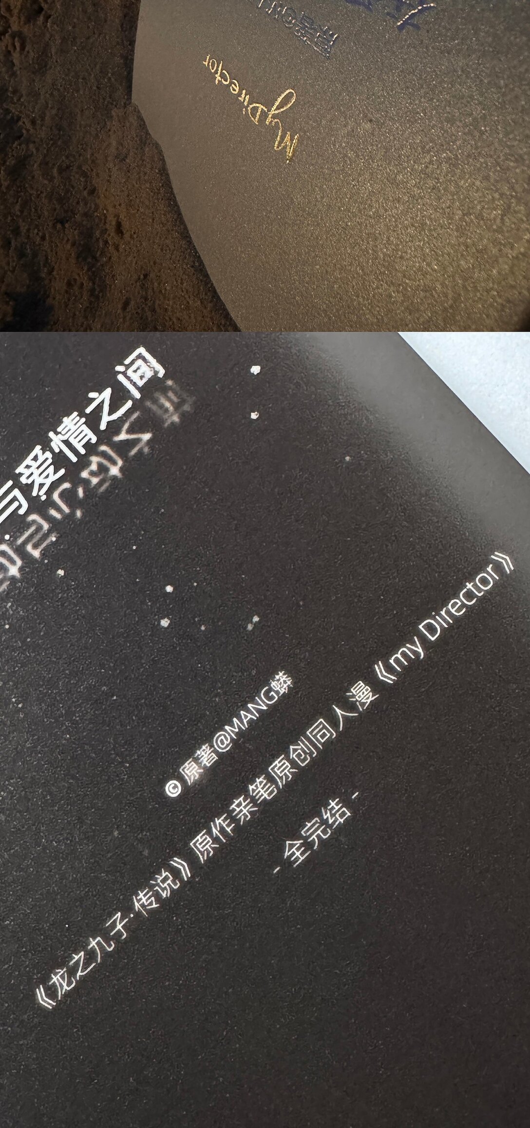 049 罗非的番外（上）-第49话