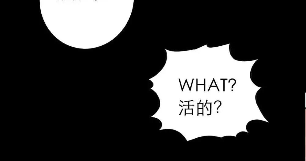 第3话 小恶女，这是我的桃花源(1/2)-第3话