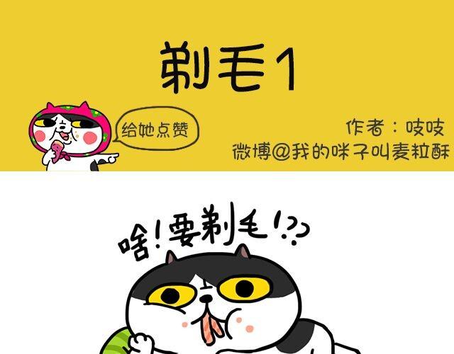 第1话 剃毛系列（一）-第1话