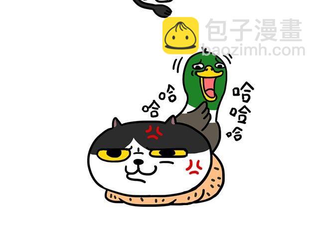 第1话 剃毛系列（一）-第1话