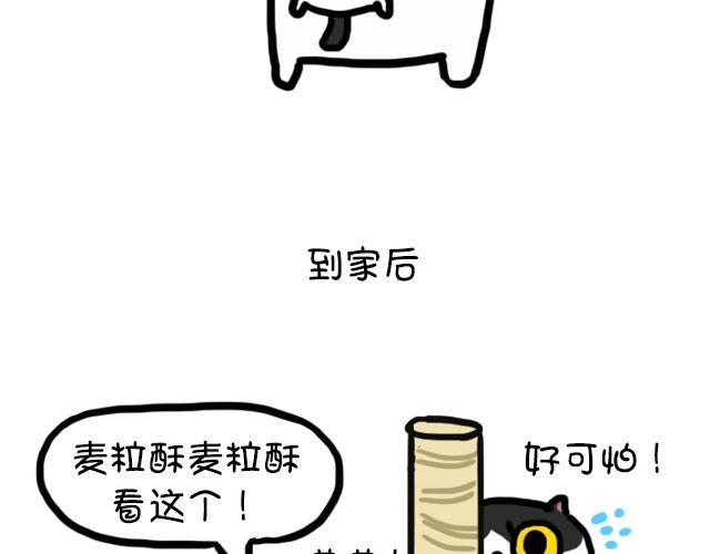 第11话 时间是把杀猫刀-第11话