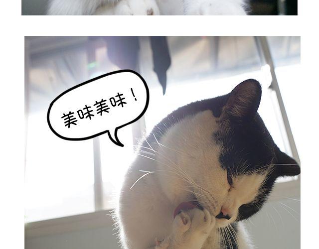 第15话 吃蛋-第15话