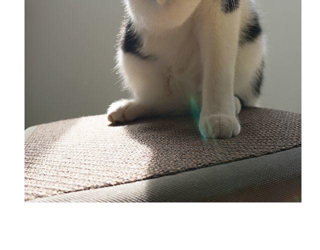 第15话 吃蛋-第15话