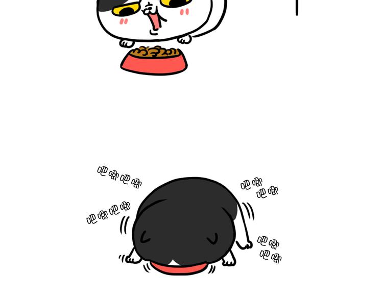 奶牛貓麥粒酥的日常 - 第19話 麥粒酥吃飯 - 1
