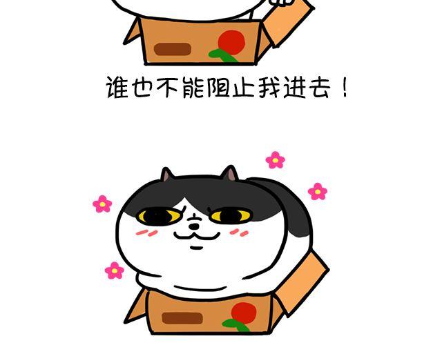 第3话 纸箱-第3话