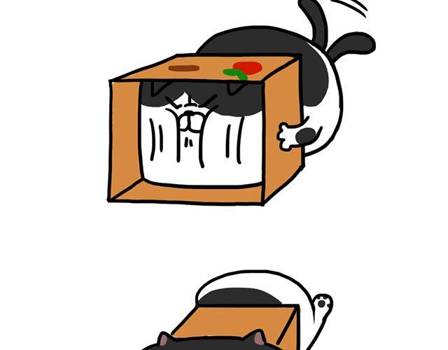奶牛貓麥粒酥的日常 - 第3話 紙箱 - 1