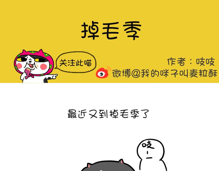 第21话 掉毛季-第21话