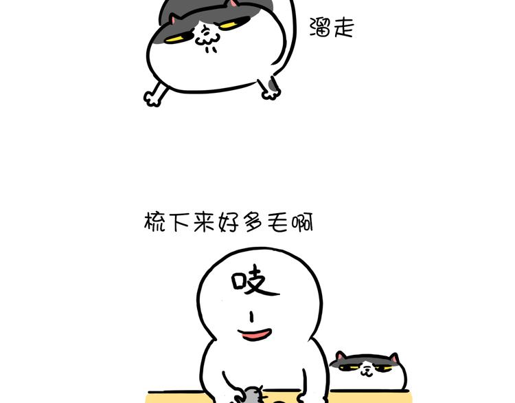 第21话 掉毛季-第21话