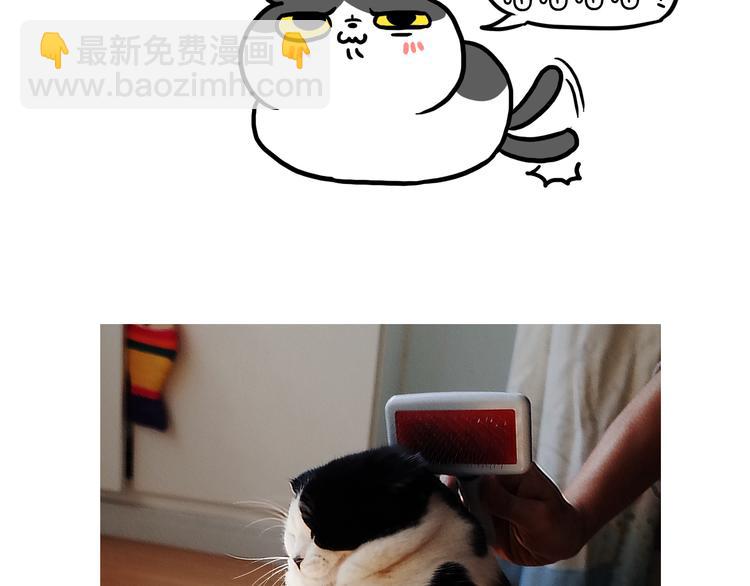 第21话 掉毛季-第21话