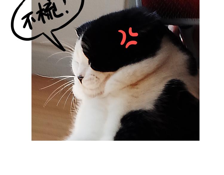 第21话 掉毛季-第21话