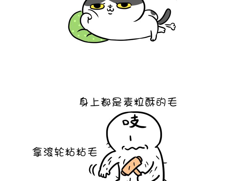 第21话 掉毛季-第21话