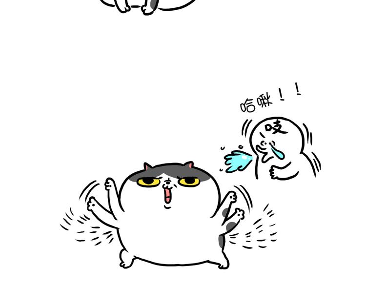 第21话 掉毛季-第21话