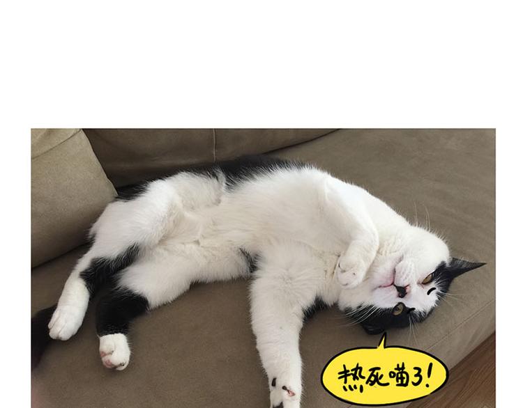 第28话 温度计-第29话